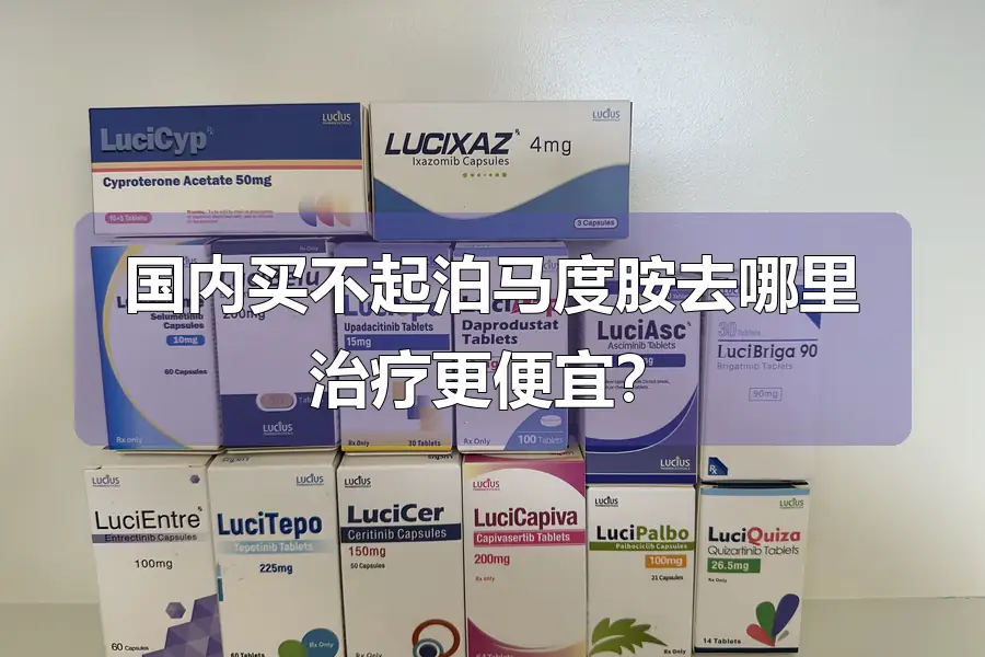 国内买不起泊马度胺去哪里治疗更便宜?